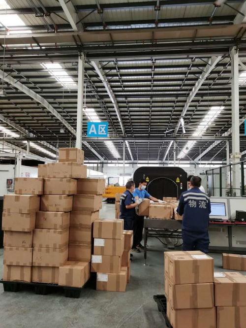 跨境電商熱潮涌動 日用百貨與小商品需求激增，天河機場貨物量創新高